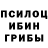 Псилоцибиновые грибы Psilocybe nerocs