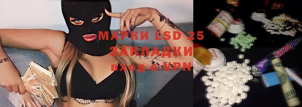 ПСИЛОЦИБИНОВЫЕ ГРИБЫ Аркадак