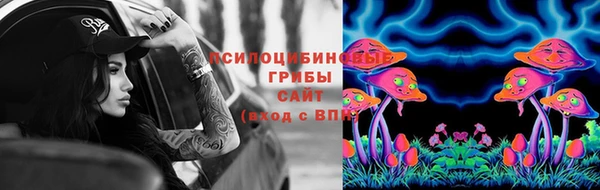 прущие грибы Арсеньев