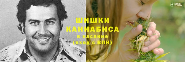 прущие грибы Арсеньев