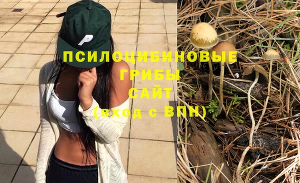 прущие грибы Арсеньев