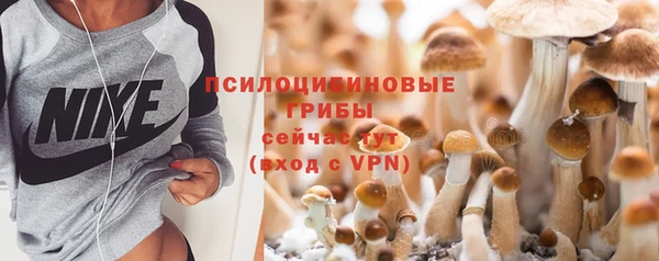 мяу мяу мука Армянск